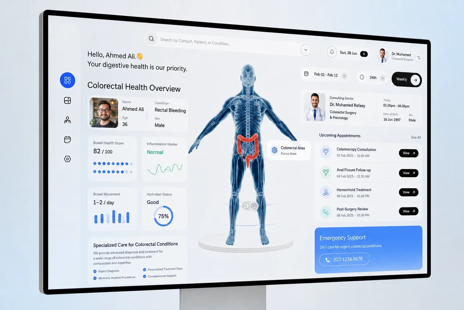 An illustrative interface for the digital patient record