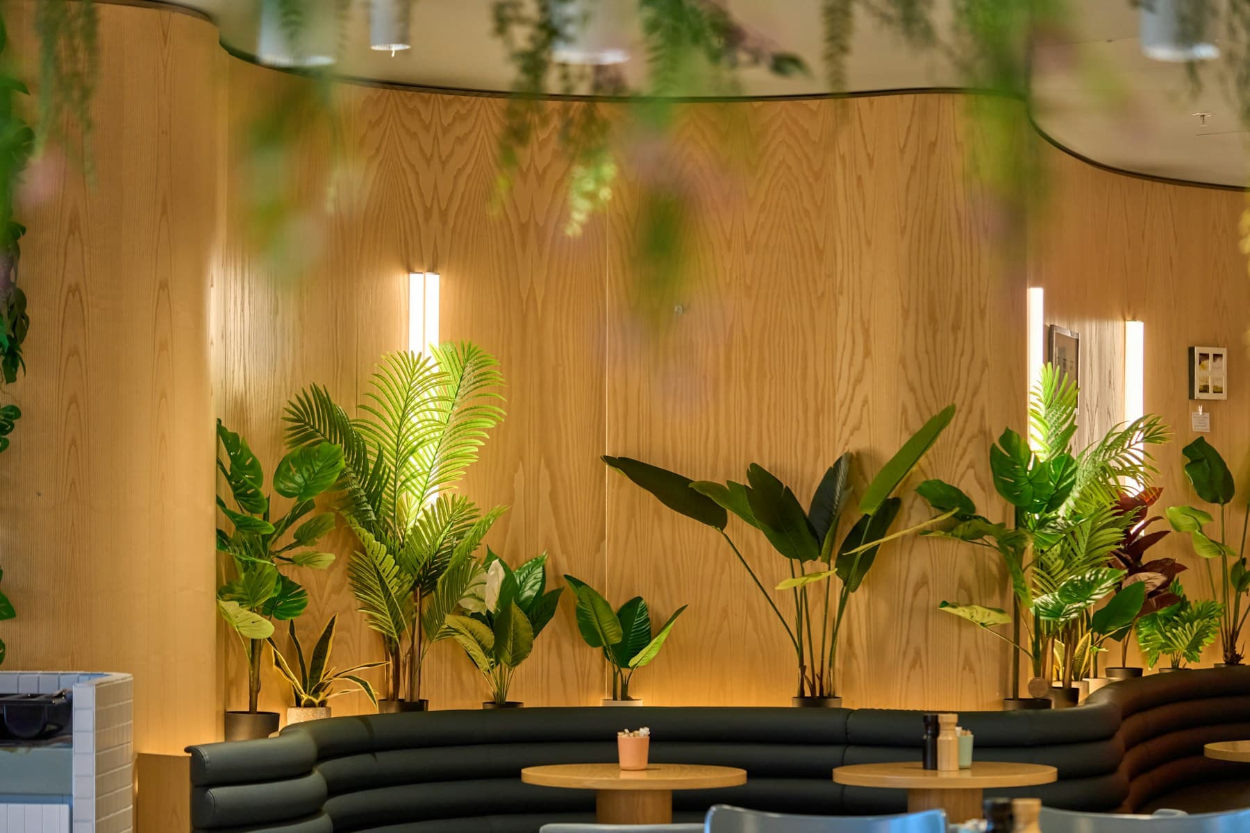 A warm, welcoming clinic — the start of your care journey